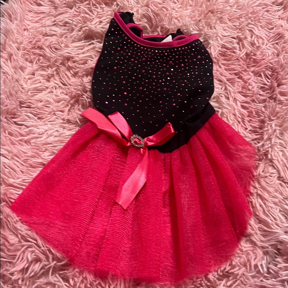 Black and Pink Tutu Dress dog